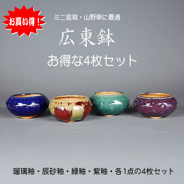 広東色小鉢4点セット | 盆栽、盆栽書籍、盆栽鉢の通販│近代出版