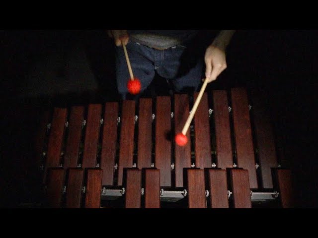 SAKEROCK DVD「ぐうぜんのきろく3」予告編 - YouTube
