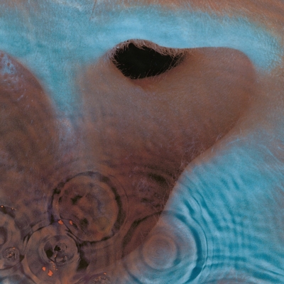 Meddle : Pink Floyd | HMV&BOOKS online - 88875170892