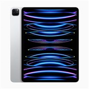 Apple iPad Pro 12.9インチ 第6世代 Wi-Fi 256GB 2022年秋モデル 価格