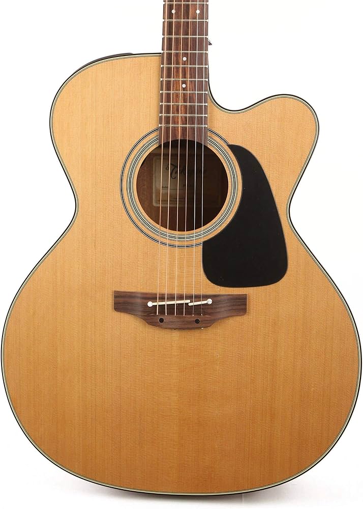 Amazon | Takamine タカミネ Pro Series 1 Jumbo Cutaway エレアコ