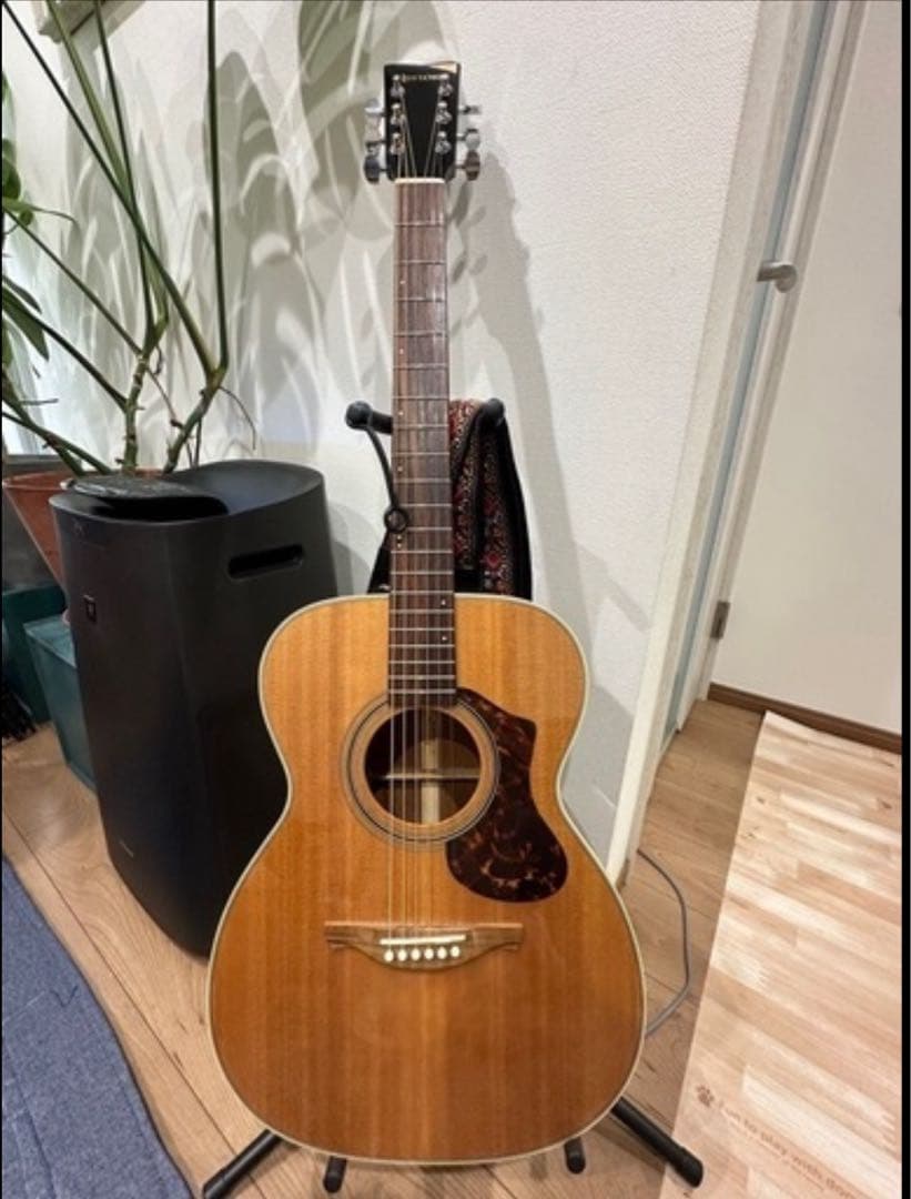送料込HISTORY NTS 4 アコースティックギター(ケース付き)おまけ付 NT-S4 HISTORY | 島村楽器