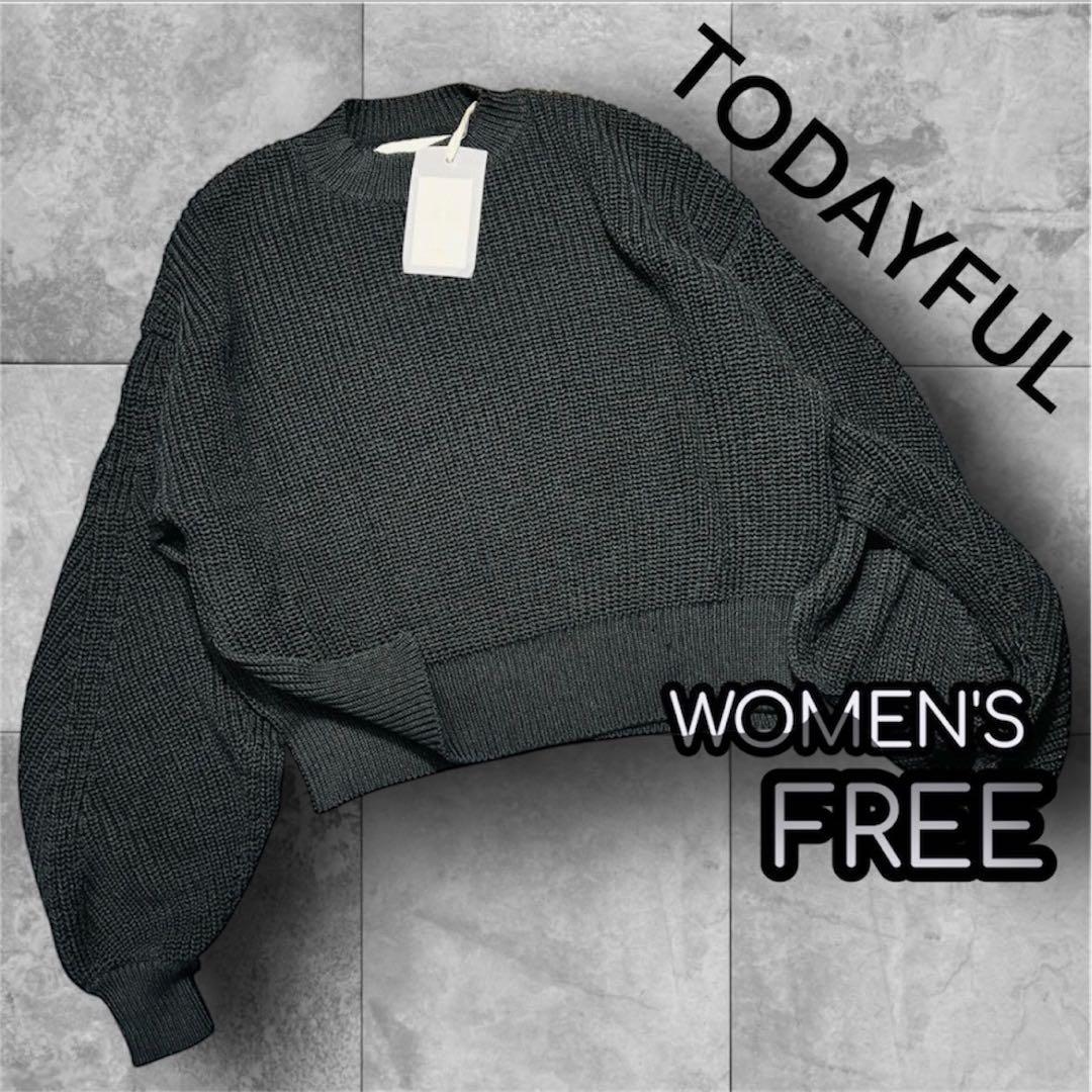 新品 TODAYFUL スリットスリーブニット Slit SleeveKnit 新品 TODAYFUL スリットスリーブニット Slit SleeveKnit - メルカリ