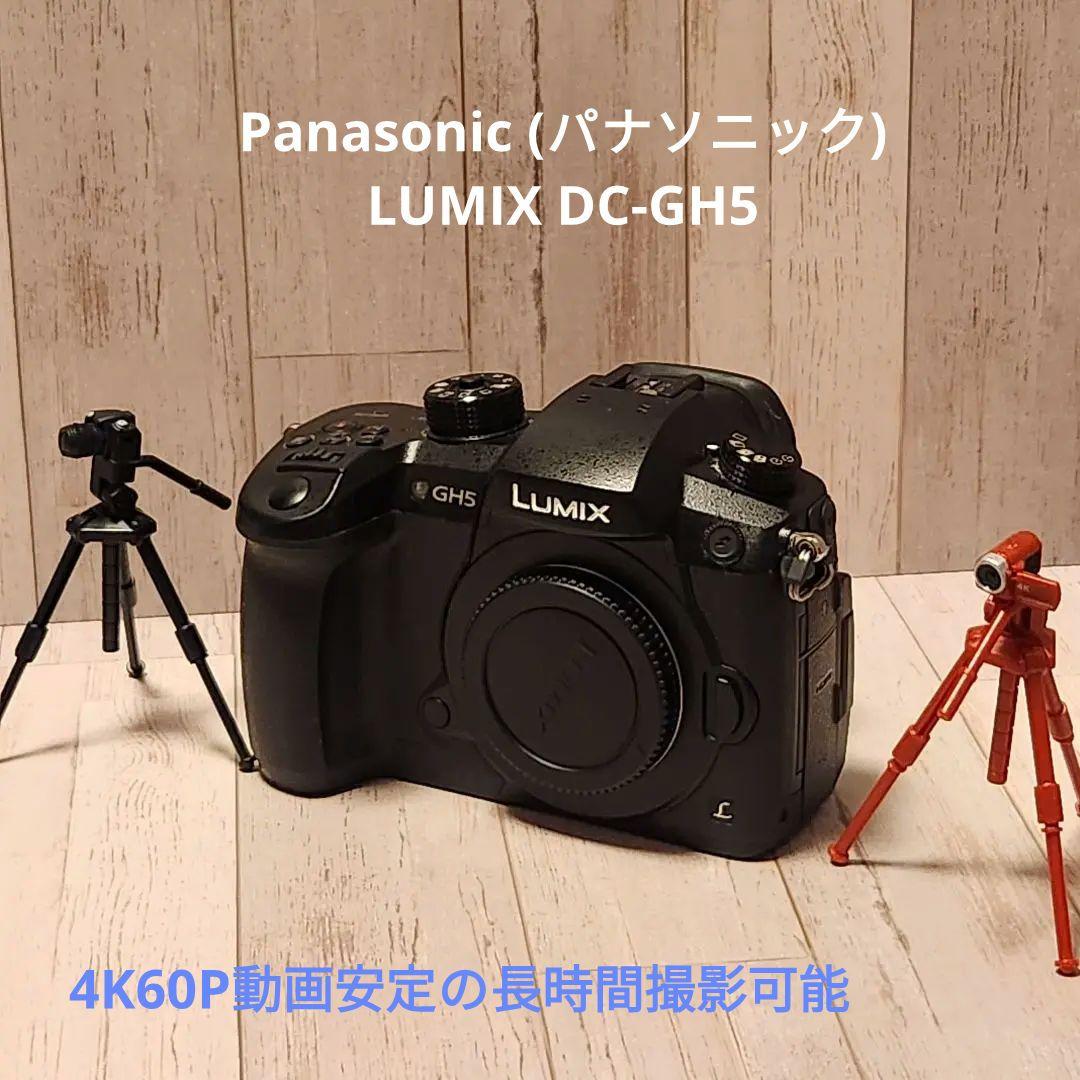 デジタルカメラ Panasonic LUMIX GH5 概要 デジタル一眼カメラ/ボディ DC-GH5 | LUMIX（ルミックス） ミラー