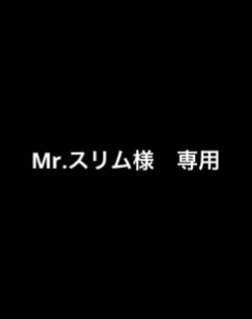 Mr.スリム ジェックス GEX スリムフィルター DC‐X M3 : コメリドットコム