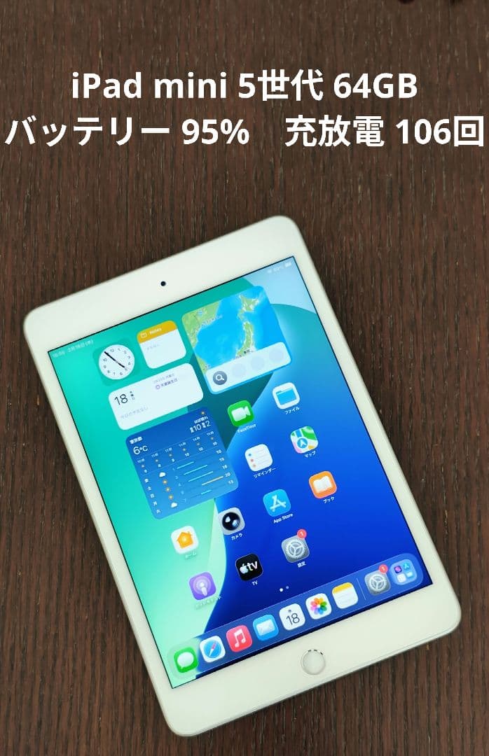 バッテリー95%【iPad mini 5世代 64GB WiFi】充放電106回 - メルカリ