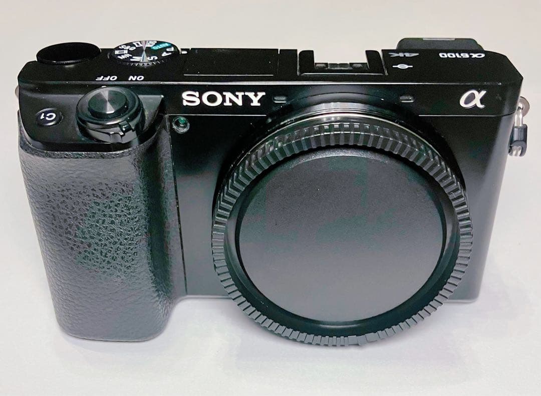 【ゆう】α6100 レンズセット【ボディのみ可】| 使用少 SONY レンタル] ソニー α6100 ダブルズームレンズキット ミラーレス一眼
