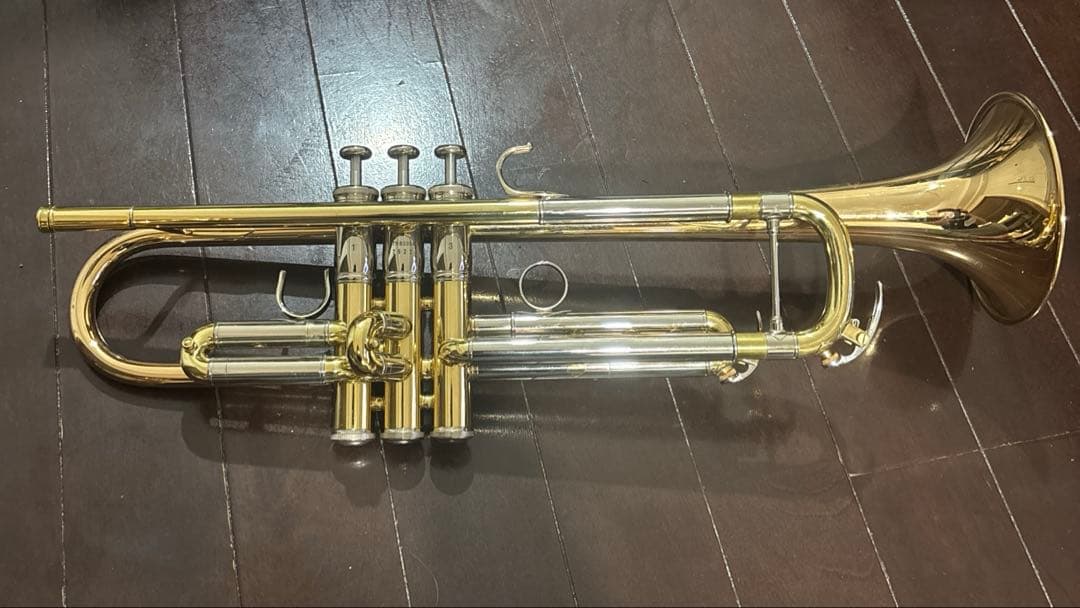 YAMAHA YTR-8335G （NYマローンパイプ／支柱1本） トランペット YTR-8335G」の人気商品一覧 | 安い商品を通販サイトから