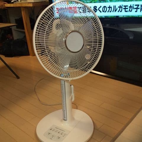 サーキュレーター リビング扇 リビングファン 扇風機 扇風機 サーキュレーター 静音 リビングファン おしゃれ 静か 首振り