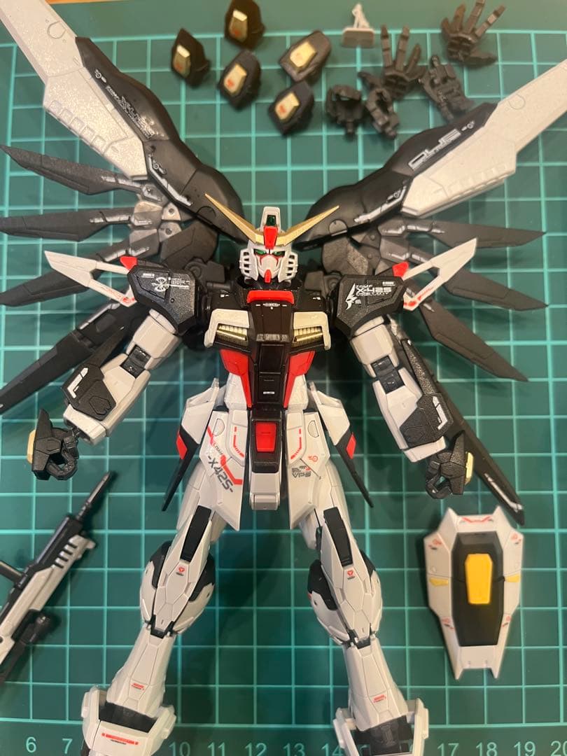 RG デスティニーガンダム全塗装完成品 RG デスティニーガンダム 全塗装｜nimurodeさんのガンプラ作品