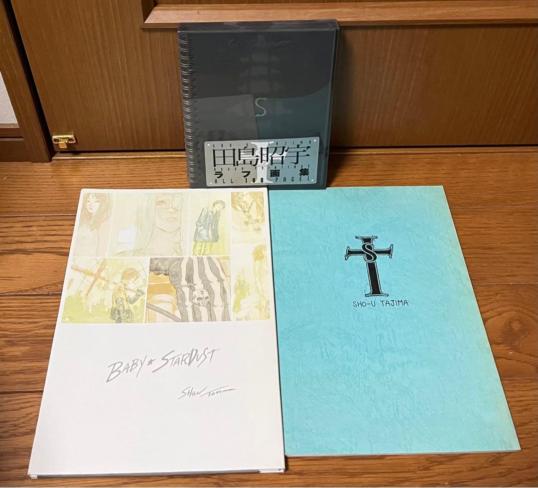 田島昭宇　画集 田島昭宇画業35周年作品集『Baby Baby』 (小学館クリエイティブ単行本
