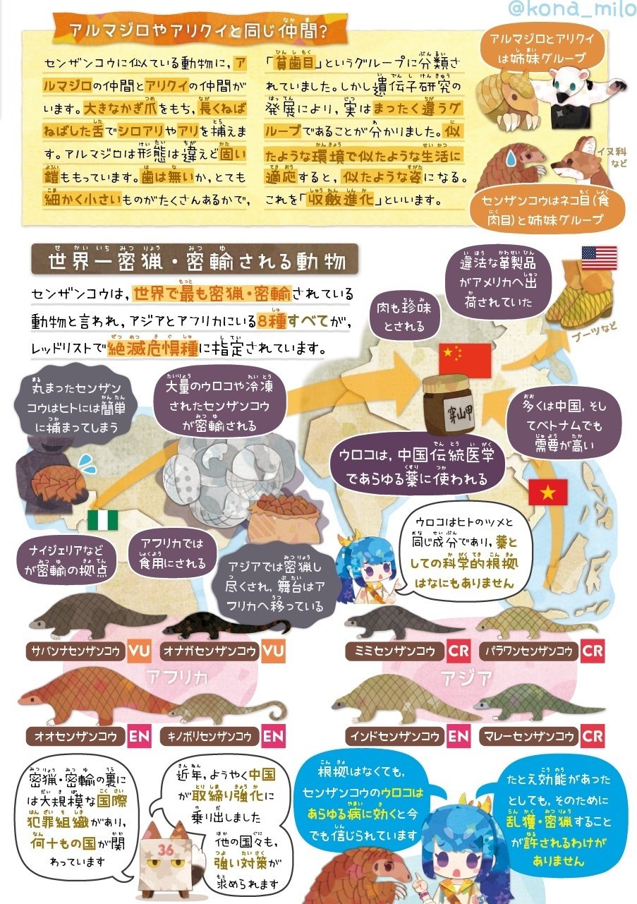 絶滅危機動物ファイル16「オオセンザンコウ」｜キクチミロ