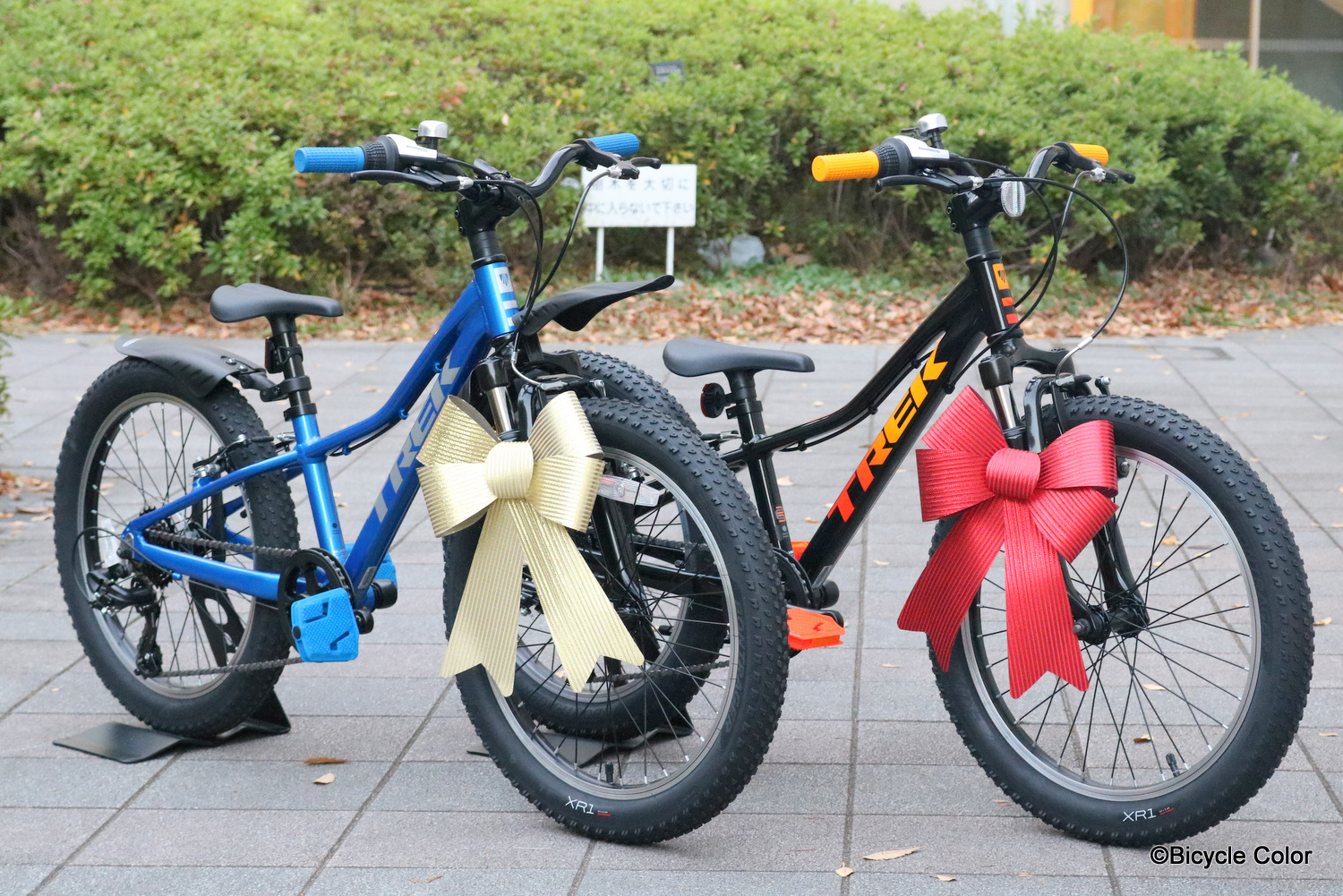 TREK(トレック)最新2020年モデル！6～8歳のお子様向け、20インチキッズ