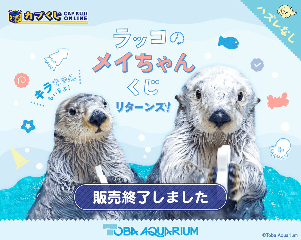 カプくじ×鳥羽水族館 缶バッジセット コンプ カプくじ×鳥羽水族館 ラッコの